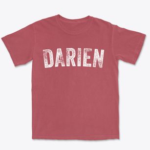 Darien Illinois Timeless Retro Premium Heavyweight T-shirt