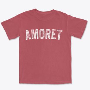 Amoret Missouri Timeless Retro Premium Heavyweight T-shirt