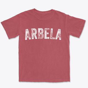 Arbela Missouri Timeless Retro Premium Heavyweight T-shirt