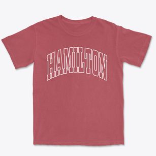 Hamilton Alabama Trendy Block Premium Heavyweight T-shirt