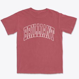 Brilliant Ohio Trendy Block Premium Heavyweight T-shirt