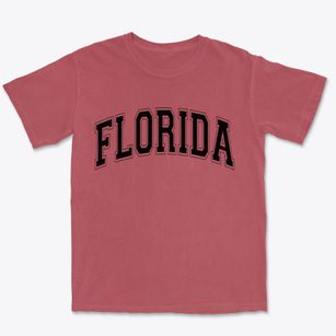 Florida New York Varsity Premium Heavyweight T-shirt