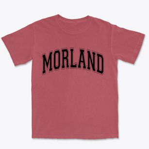 Morland Kansas Varsity Premium Heavyweight T-shirt
