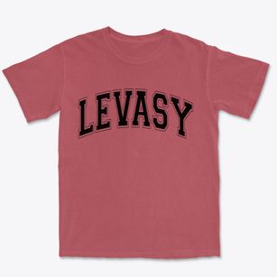 Levasy Missouri Varsity Premium Heavyweight T-shirt