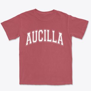 Aucilla Florida Varsity Premium Heavyweight T-shirt