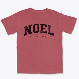 Noel Missouri Urban Vibe Premium Heavyweight T-shirt