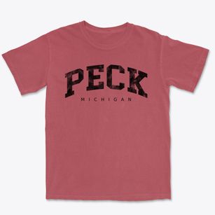 Peck Michigan Urban Vibe Premium Heavyweight T-shirt