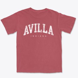 Avilla Indiana Urban Vibe Premium Heavyweight T-shirt