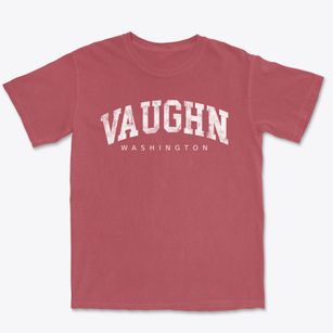Vaughn Washington Urban Vibe Premium Heavyweight T-shirt