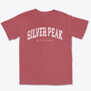 Silver Peak Nevada Urban Vibe Premium Heavyweight T-shirt
