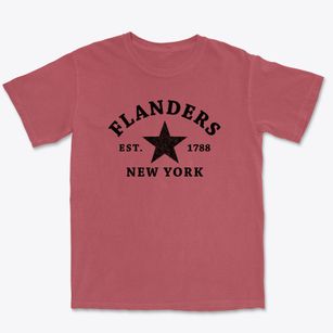Flanders New York Star Premium Heavyweight T-shirt