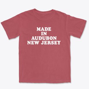 Audubon New Jersey Classic 70s Premium Heavyweight T-shirt
