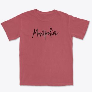 Montpelier Vermont Freestyle Premium Heavyweight T-shirt