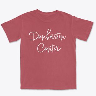 Dunbarton Center New Hampshire Freestyle Premium Heavyweight T-shirt