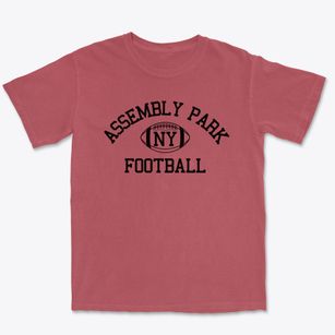 Assembly Park New York Football Premium Heavyweight T-shirt