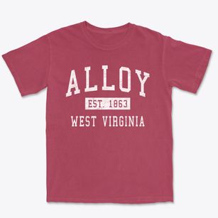 Alloy West Virginia Classic Established Premium Heavyweight T-shirt