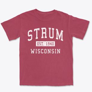 Strum Wisconsin Classic Established Premium Heavyweight T-shirt
