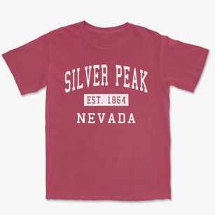 Silver Peak Nevada Classic Established Premium Heavyweight T-shirt