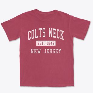Colts Neck New Jersey Classic Established Premium Heavyweight T-shirt