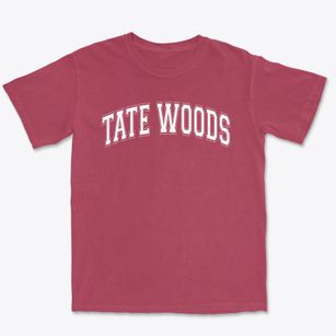 Tate Woods Elementary School Varsity Arch Premium Heavyweight T-shirt
