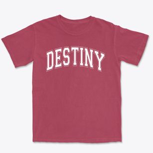 Destiny Community School Varsity Arch Premium Heavyweight T-shirt