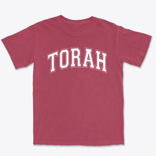 Torah Academy School Varsity Arch Premium Heavyweight T-shirt