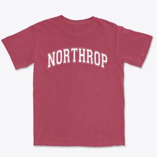 Northrop Urban Environment Center Varsity Arch Premium Heavyweight T-shirt