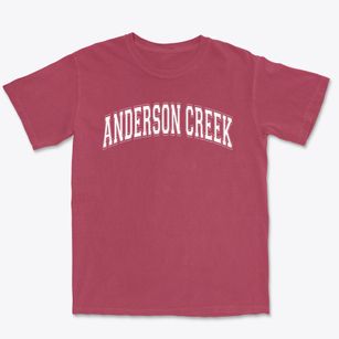Anderson Creek Primary School Varsity Arch Premium Heavyweight T-shirt