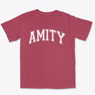 Amity Elementary School Varsity Arch Premium Heavyweight T-shirt
