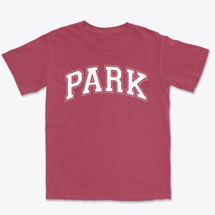 Park Elementary School Varsity Arch Premium Heavyweight T-shirt