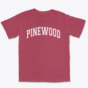 Pinewood School Of Los Altos Varsity Arch Premium Heavyweight T-shirt
