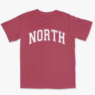 North High School Varsity Arch Premium Heavyweight T-shirt