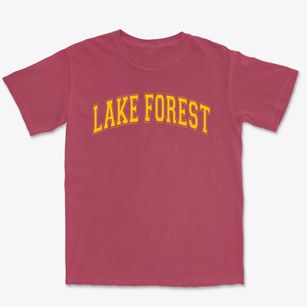 Lake Forest Country Day School Varsity Arch Premium Heavyweight T-shirt