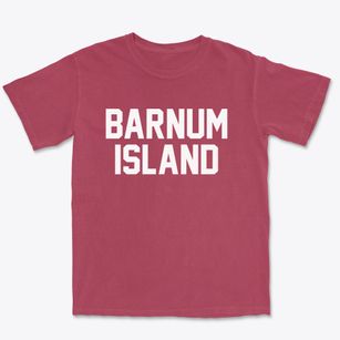 Barnum Island New York Classic Block Premium Heavyweight T-shirt
