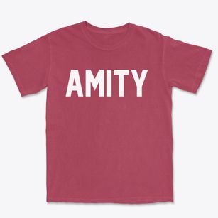 Amity New York Classic Block Premium Heavyweight T-shirt