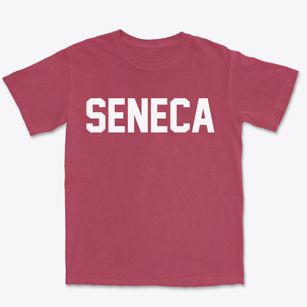 Seneca Kansas Classic Block Premium Heavyweight T-shirt