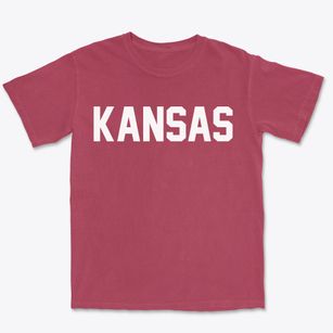 Kansas Illinois Classic Block Premium Heavyweight T-shirt