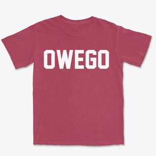Owego New York Classic Block Premium Heavyweight T-shirt