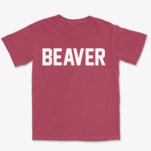 Beaver Arkansas Classic Block Premium Heavyweight T-shirt