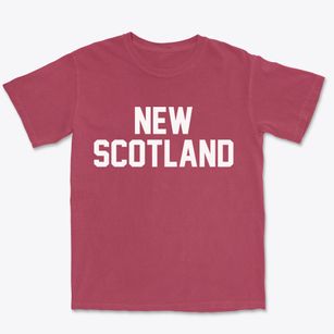 New Scotland New York Classic Block Premium Heavyweight T-shirt