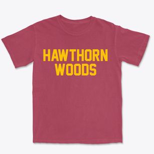 Hawthorn Woods Illinois Classic Block Premium Heavyweight T-shirt