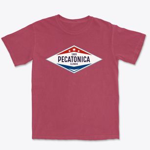 Pecatonica Illinois Diamond Star Premium Heavyweight T-shirt