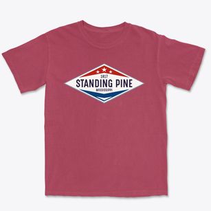 Standing Pine Mississippi Diamond Star Premium Heavyweight T-shirt