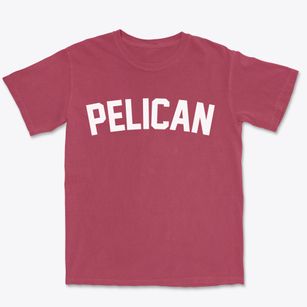 Pelican Wisconsin Classic Curve Premium Heavyweight T-shirt