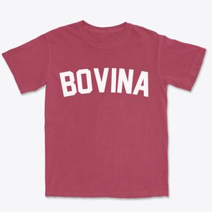 Bovina Wisconsin Classic Curve Premium Heavyweight T-shirt