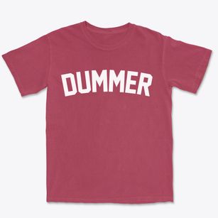 Dummer New Hampshire Classic Curve Premium Heavyweight T-shirt