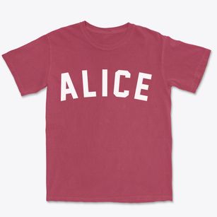 Alice North Dakota Classic Curve Premium Heavyweight T-shirt