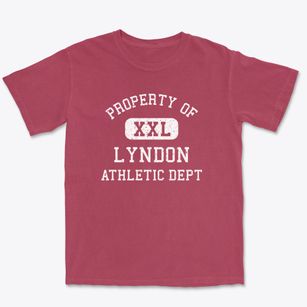 Lyndon New York Athletic Dept Premium Heavyweight T-shirt