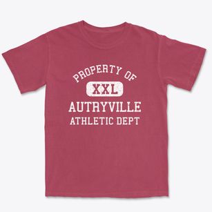 Autryville North Carolina Athletic Dept Premium Heavyweight T-shirt