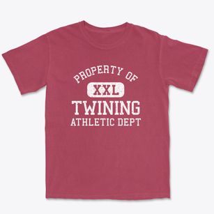 Twining Michigan Athletic Dept Premium Heavyweight T-shirt